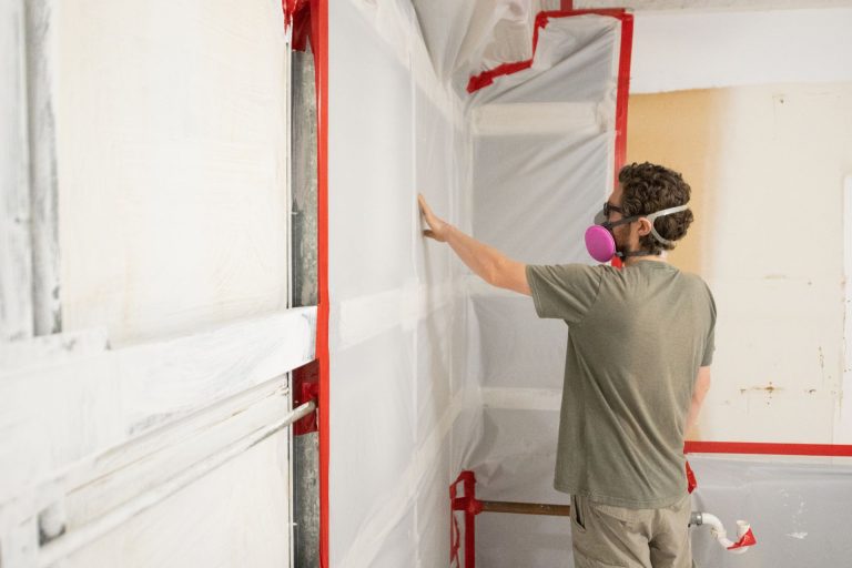 mold remediation