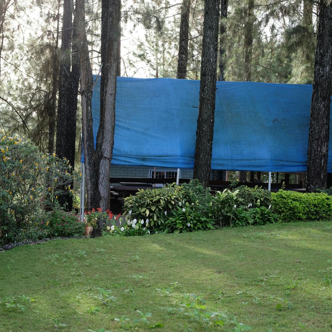 house with tarp over roof