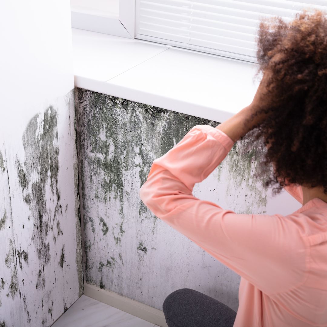 woman discovering mold in home