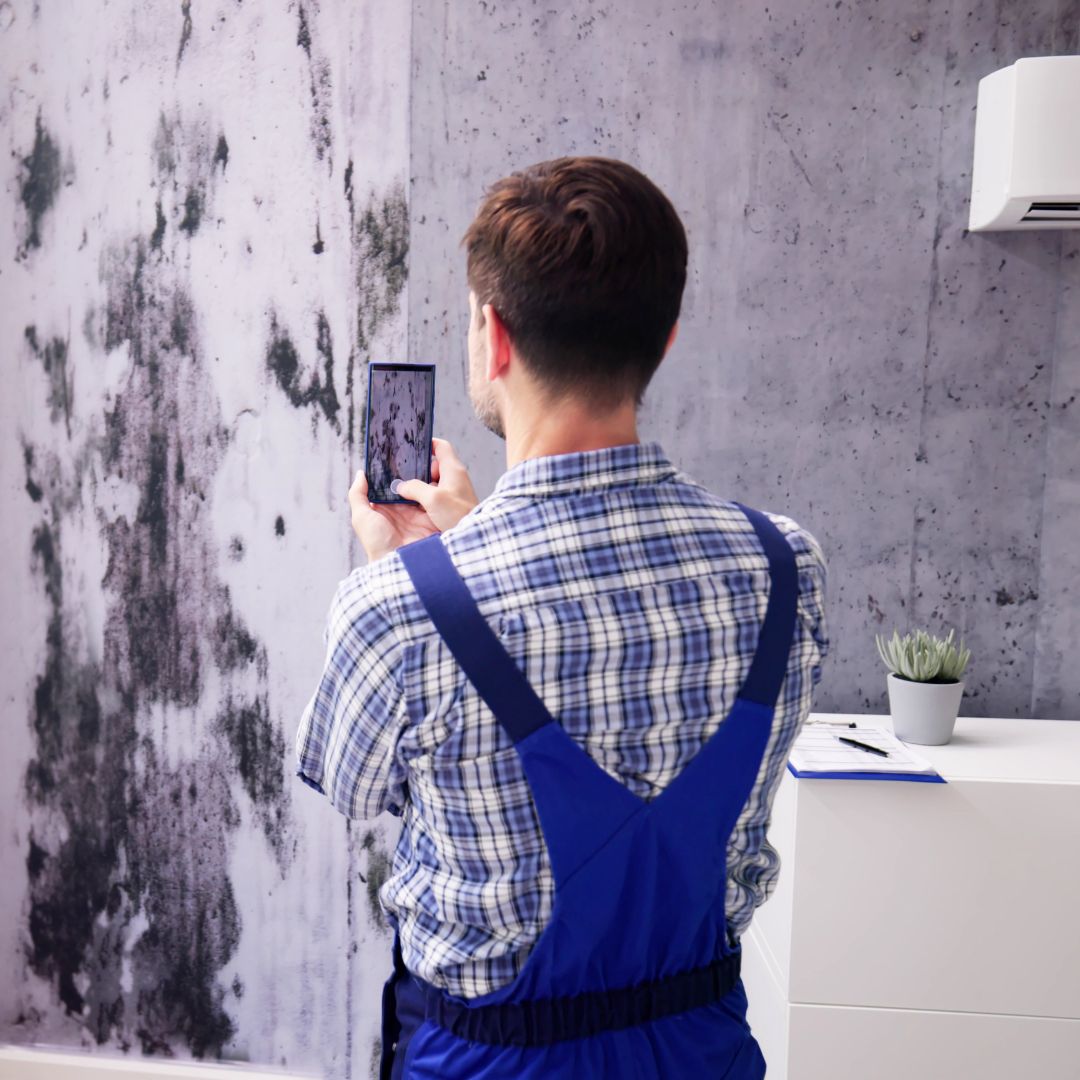 restoration expert taking picture of mold on wall