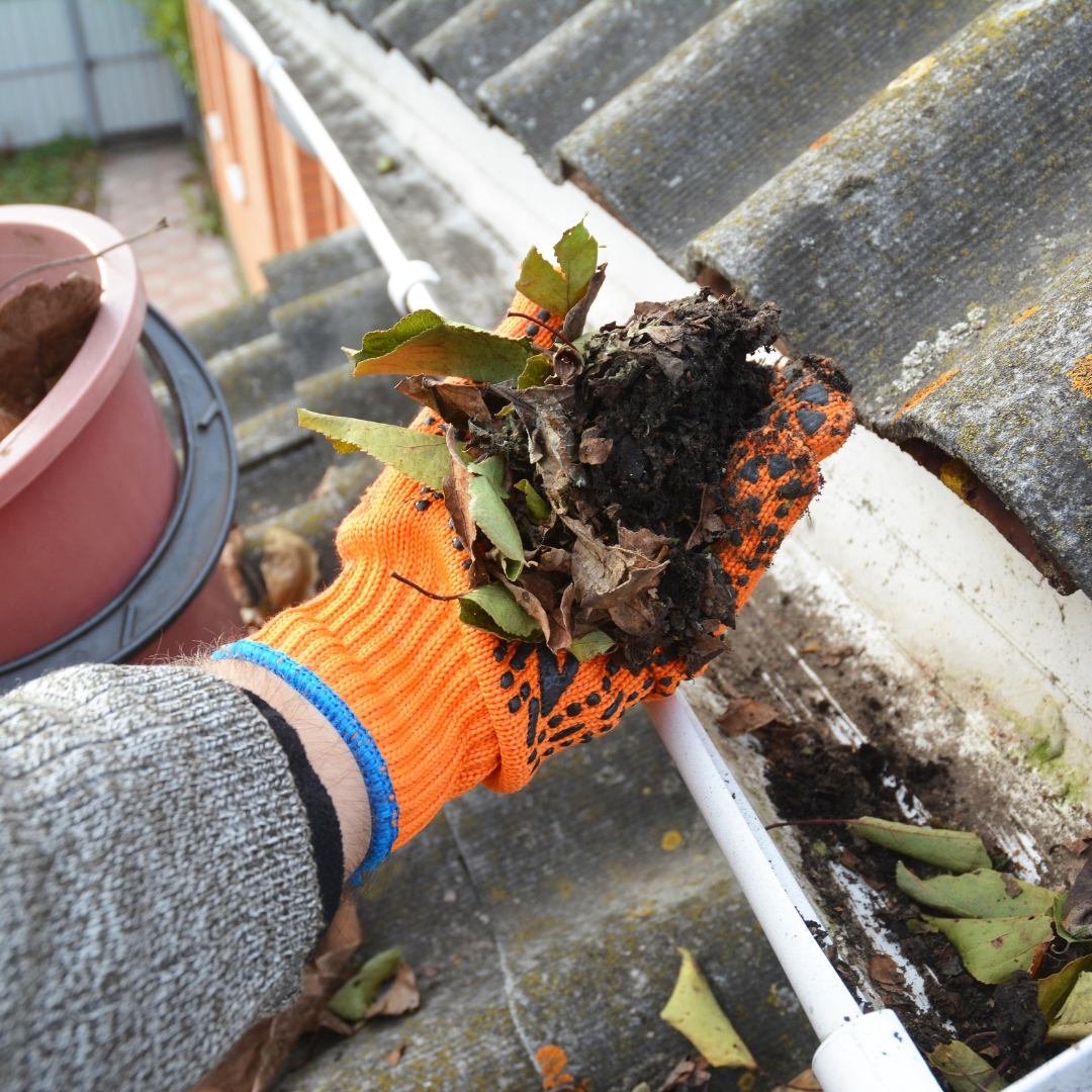 Gloved hand removing leaves from gutter