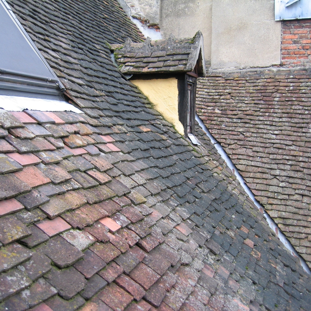 Dirty shingles
