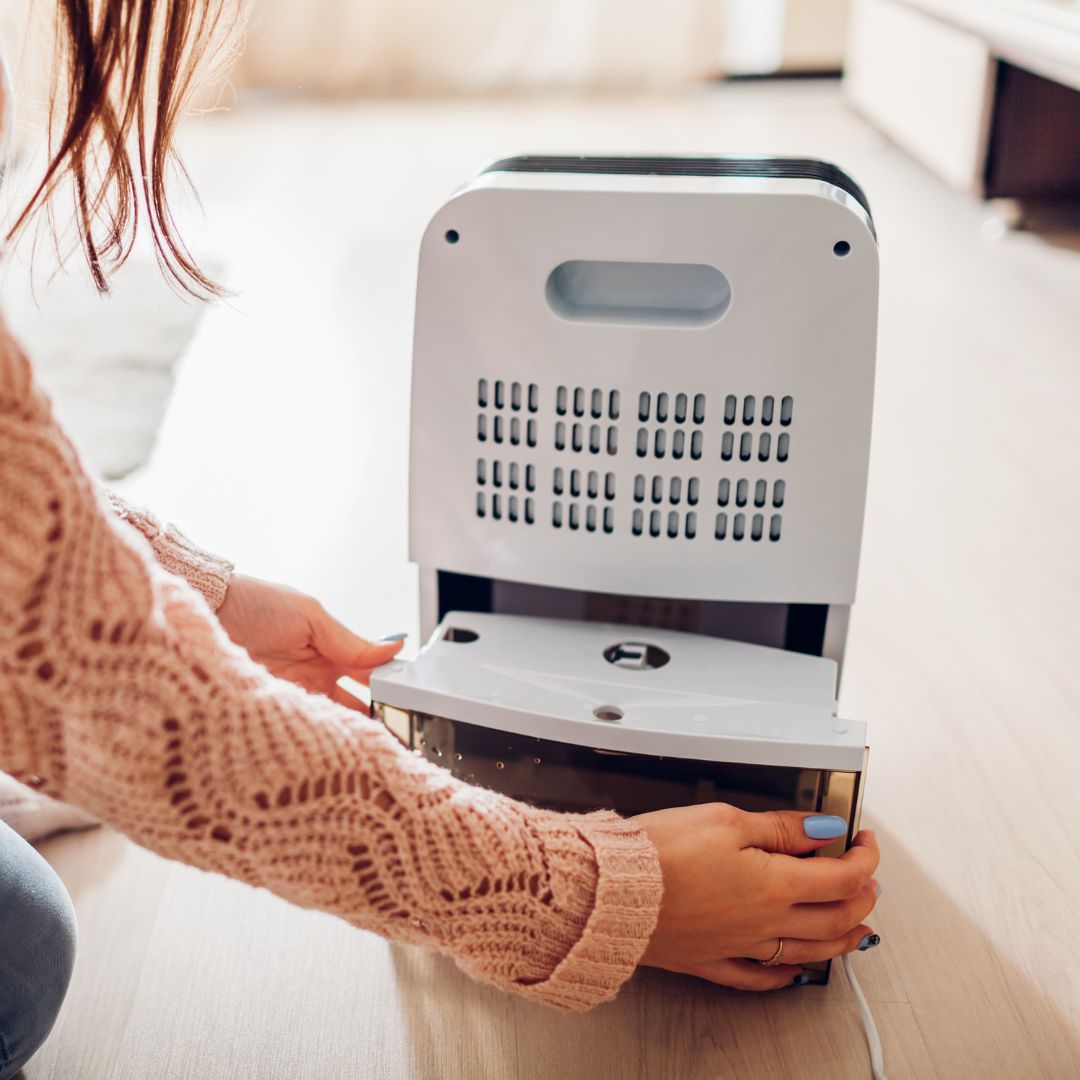 dehumidifier 