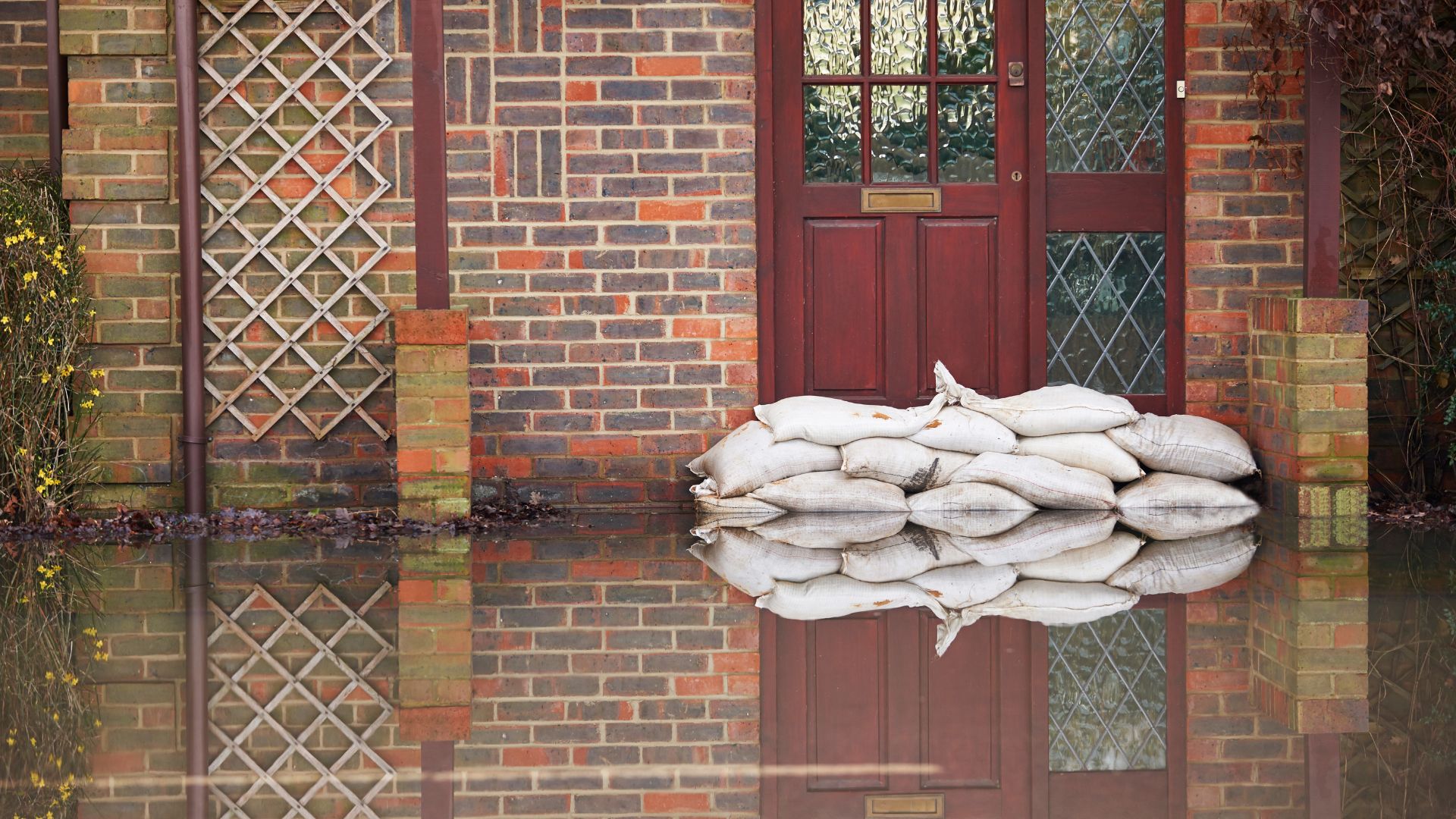 flood