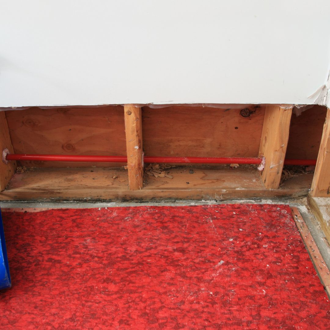 water damage in basement