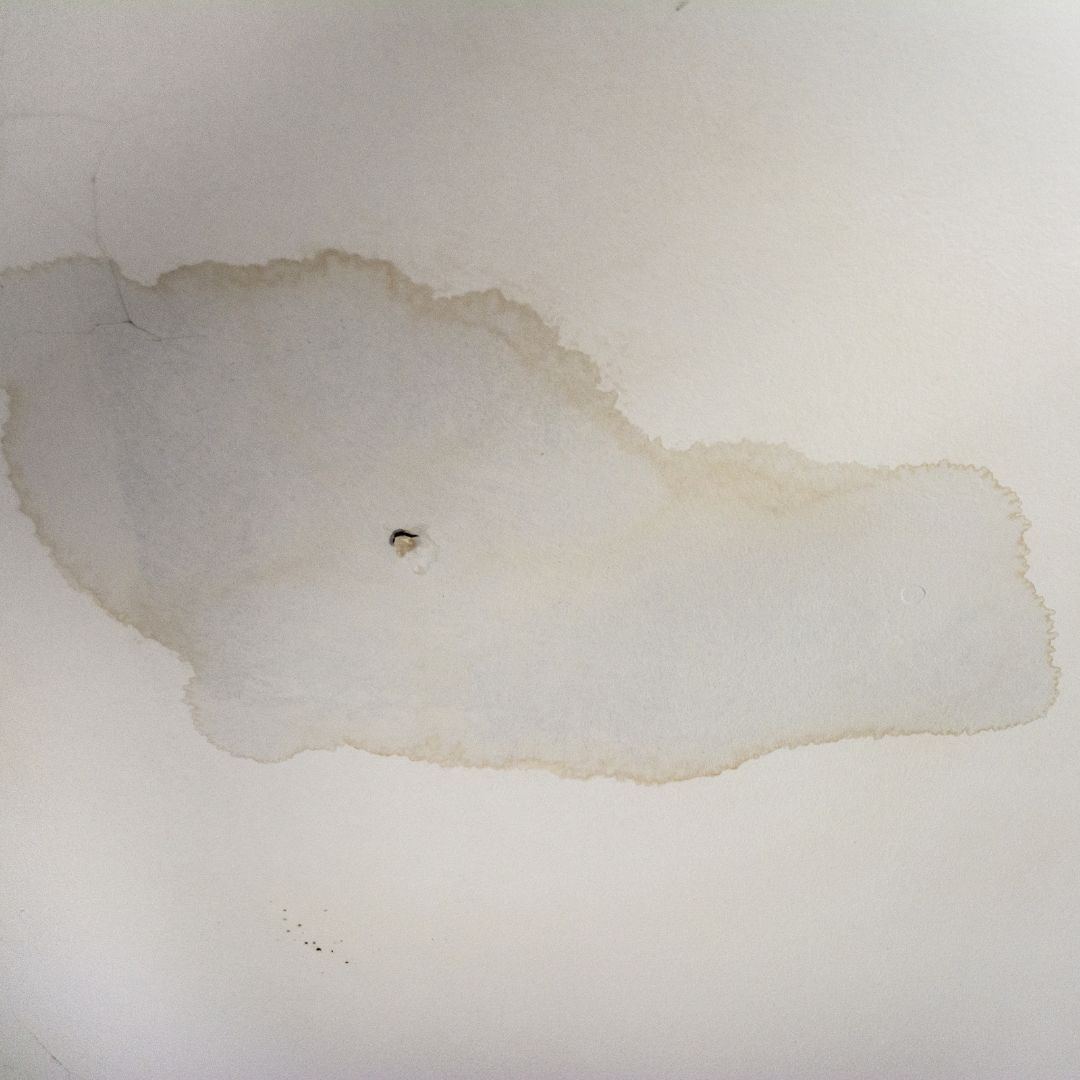 water stain on ceiling