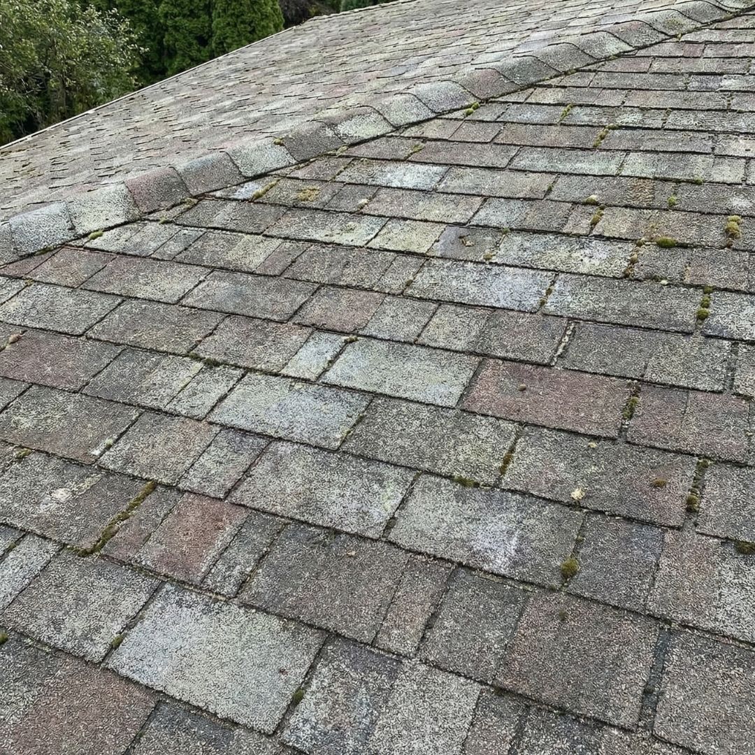 An older asphalt shingle roof showing signs of wear, color fading, and moss growth.