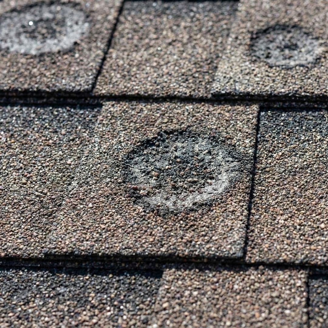A detailed close-up showing circular impact marks and granule loss from hail on roof shingles.